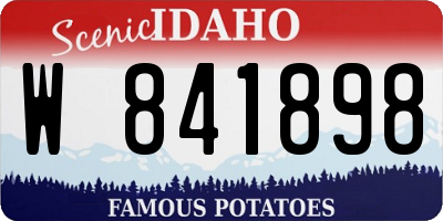 ID license plate W841898