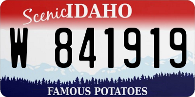 ID license plate W841919