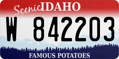 ID license plate W842203