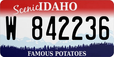 ID license plate W842236