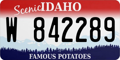ID license plate W842289