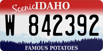 ID license plate W842392