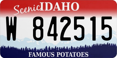 ID license plate W842515