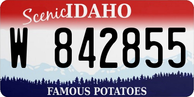 ID license plate W842855