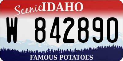 ID license plate W842890