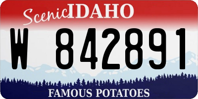 ID license plate W842891