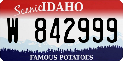 ID license plate W842999