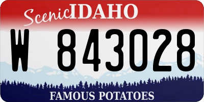 ID license plate W843028