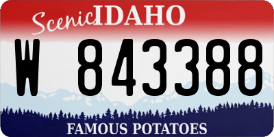 ID license plate W843388
