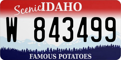 ID license plate W843499