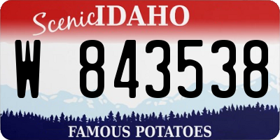 ID license plate W843538