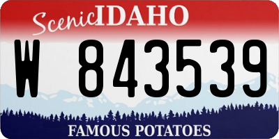 ID license plate W843539