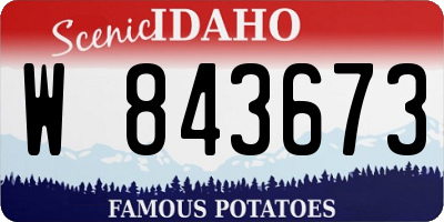 ID license plate W843673