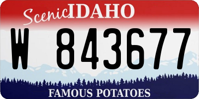 ID license plate W843677