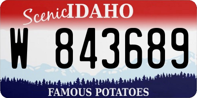 ID license plate W843689