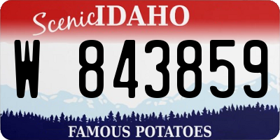 ID license plate W843859