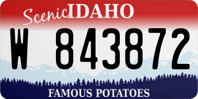 ID license plate W843872
