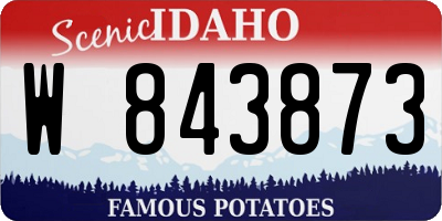 ID license plate W843873