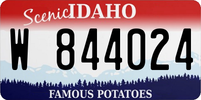 ID license plate W844024