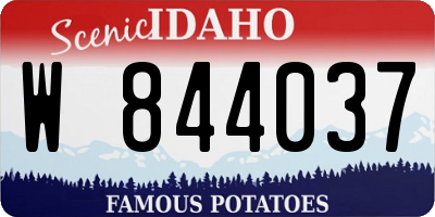 ID license plate W844037
