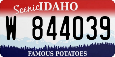 ID license plate W844039