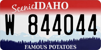 ID license plate W844044