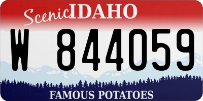ID license plate W844059