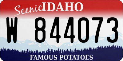 ID license plate W844073