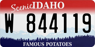 ID license plate W844119