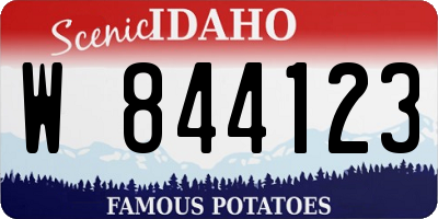 ID license plate W844123