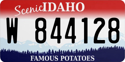 ID license plate W844128