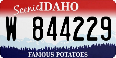 ID license plate W844229