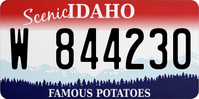 ID license plate W844230
