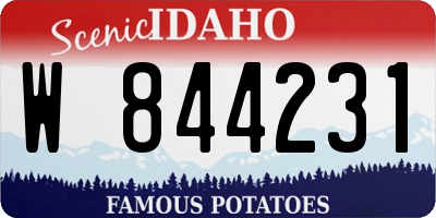 ID license plate W844231