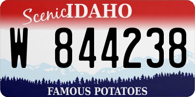 ID license plate W844238