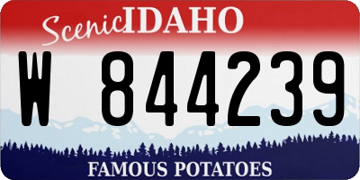 ID license plate W844239