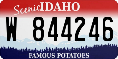 ID license plate W844246