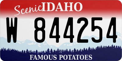 ID license plate W844254
