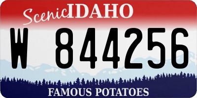 ID license plate W844256