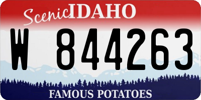 ID license plate W844263