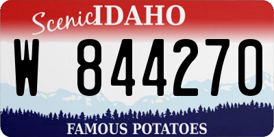 ID license plate W844270