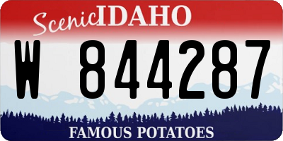 ID license plate W844287
