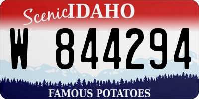 ID license plate W844294
