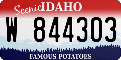 ID license plate W844303