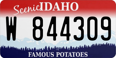 ID license plate W844309