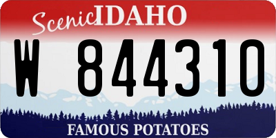 ID license plate W844310