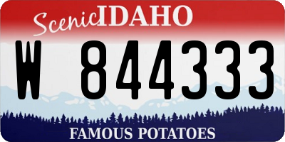 ID license plate W844333