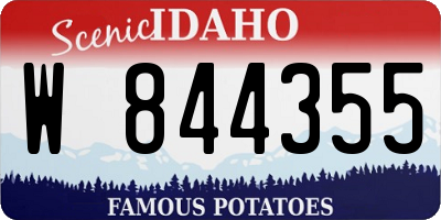 ID license plate W844355