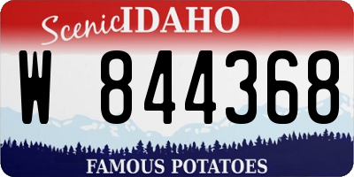 ID license plate W844368
