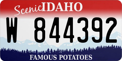 ID license plate W844392